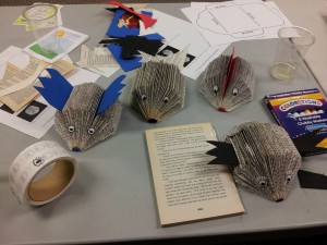 Paperback Hedgehogs