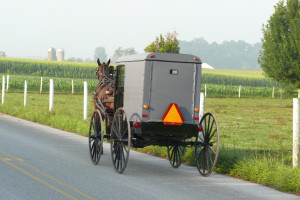 Amish_buggy_2