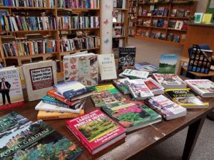 book display in the Book Cellar