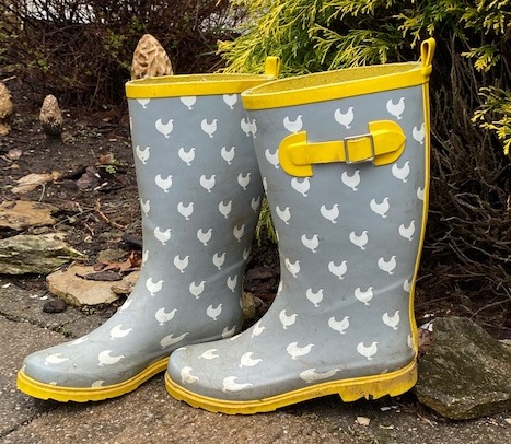 Sally's gardening boots